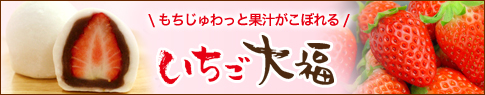 いちご大福商品ページヘッダバナー（ハーフサイズ）_180117.jpg