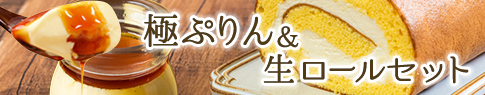 /images/common/h-bnr-kiwami4-hanamaru-jr.jpg