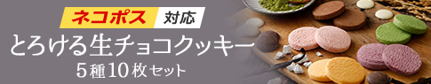 とろける生チョコクッキー5種10個入