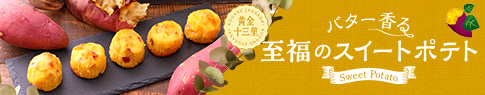 /images/common/h-bnr-kiwami-early-smr.jpg